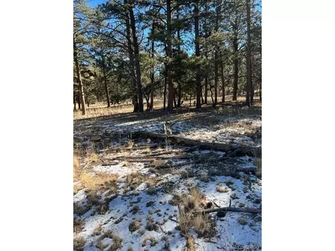 185 Haystack Rd, Hartsel, CO 80449 photo 3