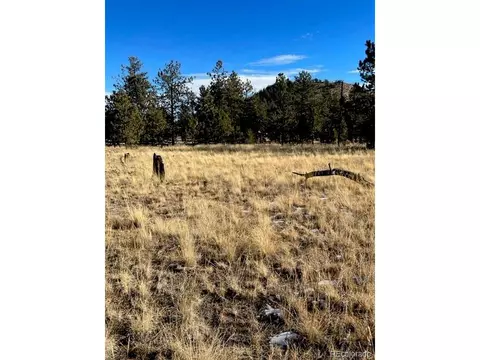 185 Haystack Rd, Hartsel, CO 80449 photo 10