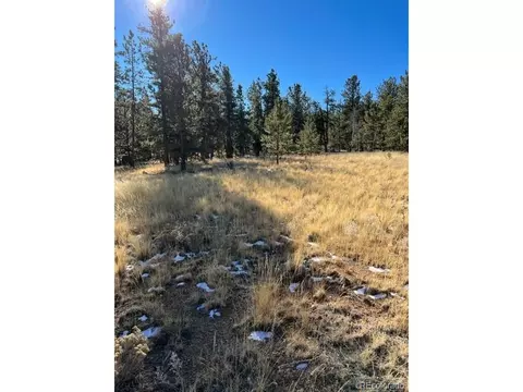 185 Haystack Rd, Hartsel, CO 80449 photo 13