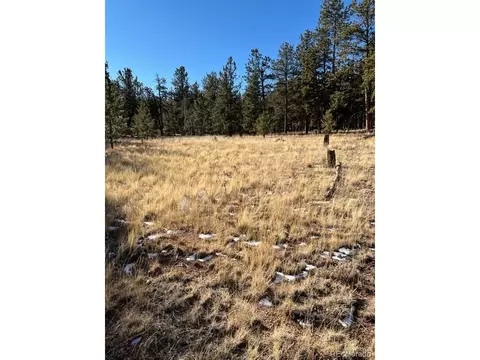 185 Haystack Rd, Hartsel, CO 80449 photo 12