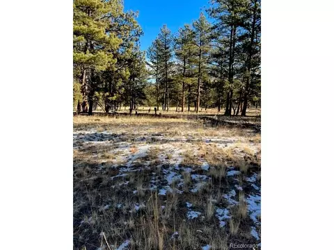 185 Haystack Rd, Hartsel, CO 80449 photo 1