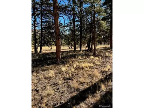185 Haystack Rd, Hartsel, CO 80449 photo 5