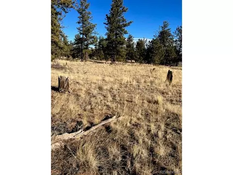 185 Haystack Rd, Hartsel, CO 80449 photo 9