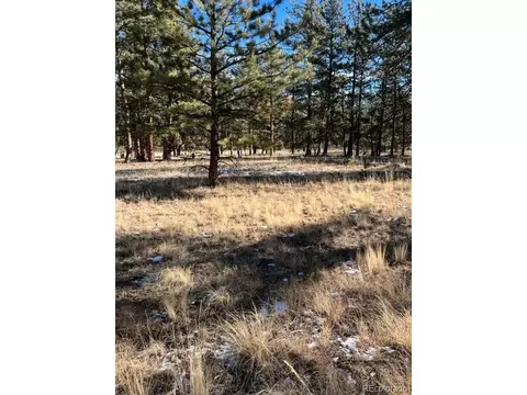 185 Haystack Rd, Hartsel, CO 80449 photo 2