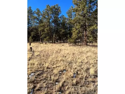 185 Haystack Rd, Hartsel, CO 80449 photo 14