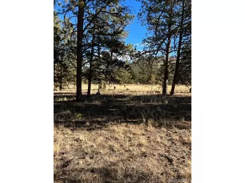 185 Haystack Rd, Hartsel, CO 80449 photo 6