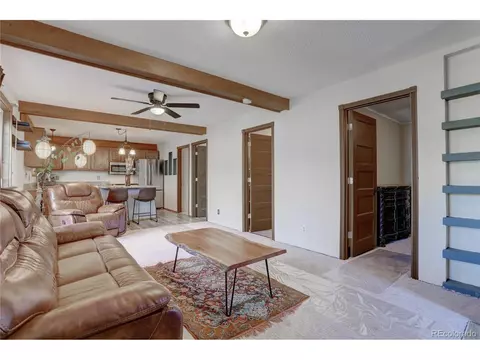 72 Stucke Rd, Bailey, CO 80421 photo 20