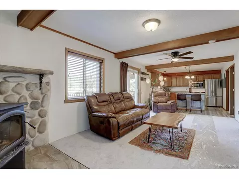 72 Stucke Rd, Bailey, CO 80421 photo 19