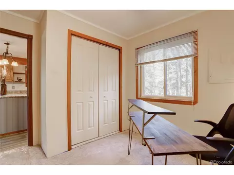 72 Stucke Rd, Bailey, CO 80421 photo 32