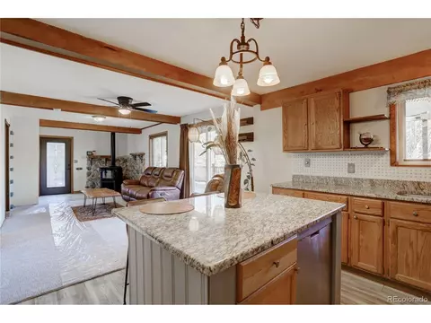 72 Stucke Rd, Bailey, CO 80421 photo 22
