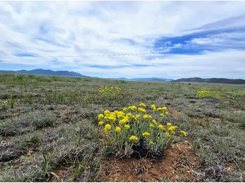 8127 Larimer Rd, Hartsel, CO 80449