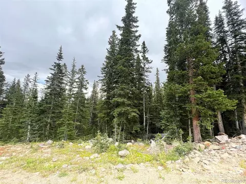 182 El Lobo Ln, Fairplay, CO 80440