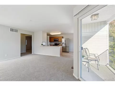 18642 E 46th Pl, Denver, CO 80249 photo 28