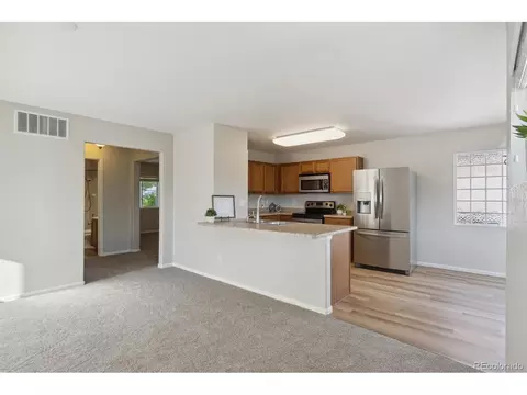 18642 E 46th Pl, Denver, CO 80249 photo 17