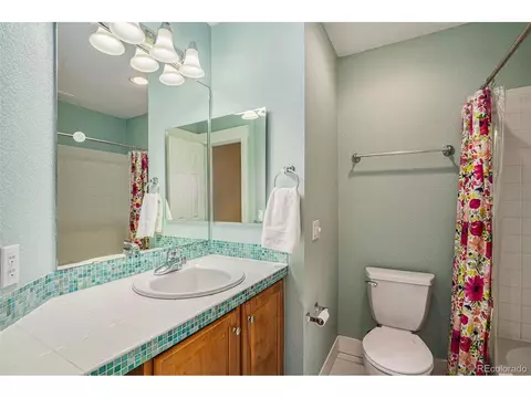 8296 E 28th Dr, Denver, CO 80238 photo 25