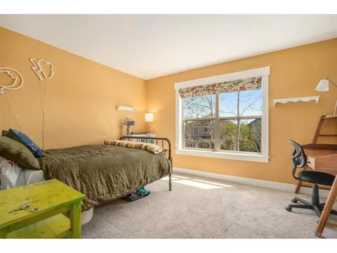 8296 E 28th Dr, Denver, CO 80238 photo 26