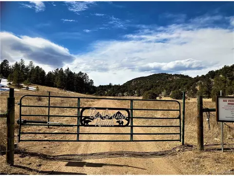 1987 Coyote Run, Cotopaxi, CO 81223