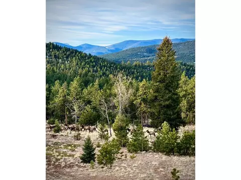 1567 Tapadero Rd, Bailey, CO 80421 photo 21