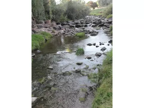 4693 E Weaver Cir, Centennial, CO 80121 photo 27