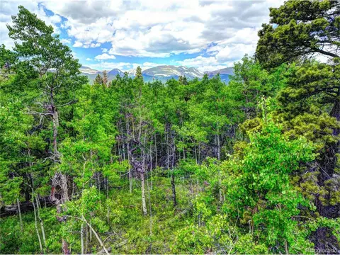 0 Platte River Ct, Fairplay, CO 80440