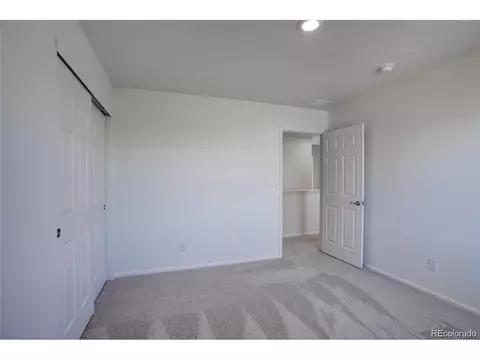 149 Hidden Lake Dr, Severance, CO 80550 photo 14