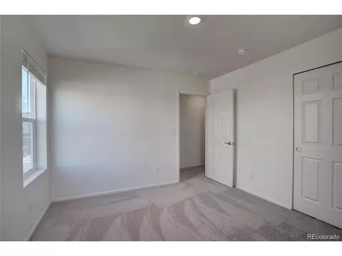 149 Hidden Lake Dr, Severance, CO 80550 photo 17