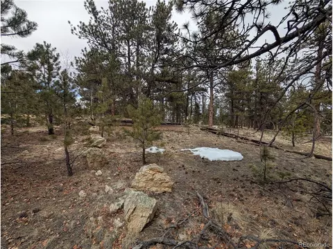 291 Shenandoah Path, Hartsel, CO 80449 photo 3