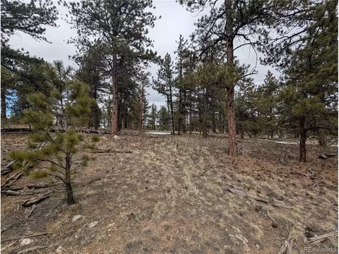 291 Shenandoah Path, Hartsel, CO 80449 photo 4