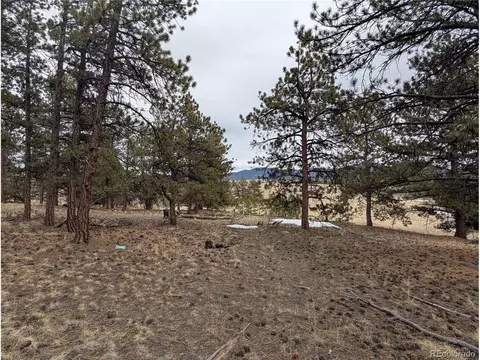 291 Shenandoah Path, Hartsel, CO 80449 photo 6