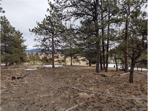 291 Shenandoah Path, Hartsel, CO 80449 photo 7