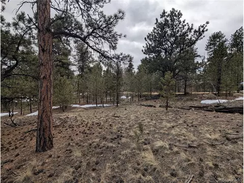 291 Shenandoah Path, Hartsel, CO 80449 photo 9