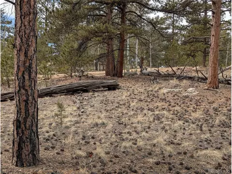 291 Shenandoah Path, Hartsel, CO 80449 photo 11