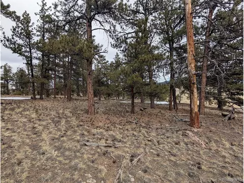 291 Shenandoah Path, Hartsel, CO 80449 photo 5