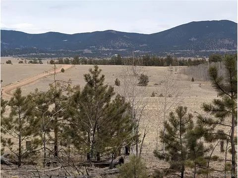 291 Shenandoah Path, Hartsel, CO 80449 photo 16