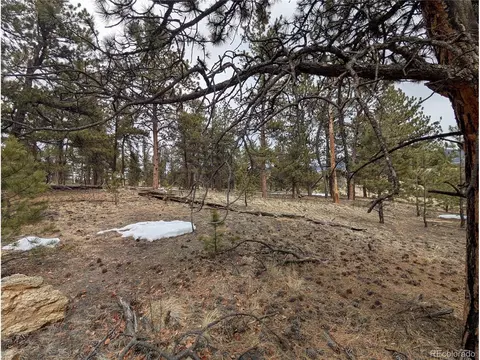 291 Shenandoah Path, Hartsel, CO 80449 photo 2