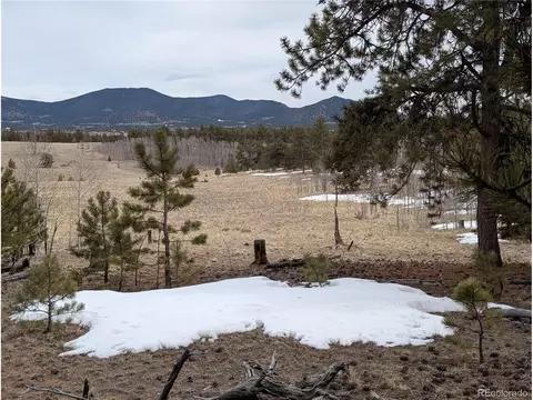 291 Shenandoah Path, Hartsel, CO 80449 photo 17