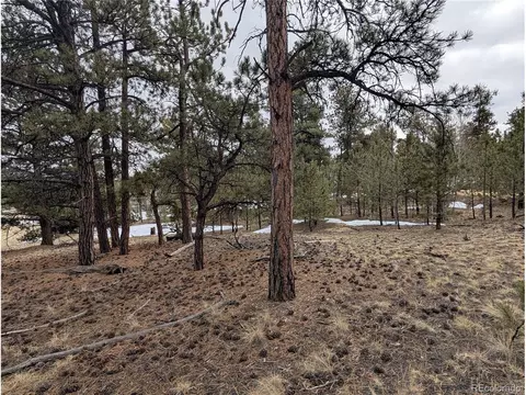 291 Shenandoah Path, Hartsel, CO 80449 photo 8