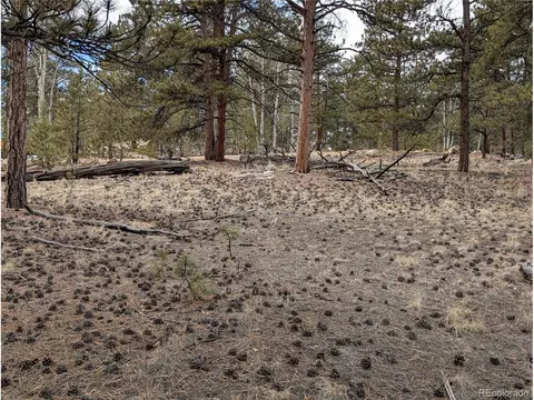 291 Shenandoah Path, Hartsel, CO 80449 photo 19