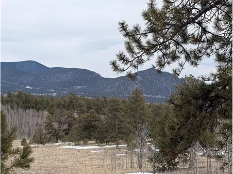 291 Shenandoah Path, Hartsel, CO 80449 photo 14