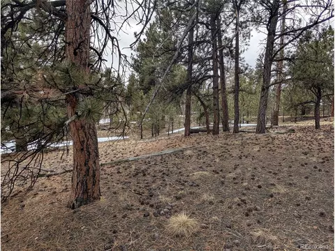 291 Shenandoah Path, Hartsel, CO 80449 photo 18