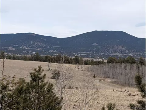 291 Shenandoah Path, Hartsel, CO 80449 photo 13