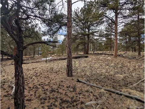291 Shenandoah Path, Hartsel, CO 80449 photo 10