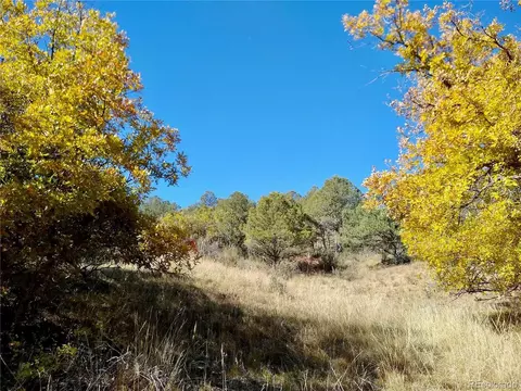 Undisclosed, Canon City, CO 81212