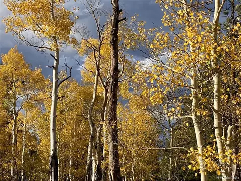 1714 Blacksmith Rd, Hartsel, CO 80449 photo 2