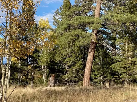 1714 Blacksmith Rd, Hartsel, CO 80449 photo 9