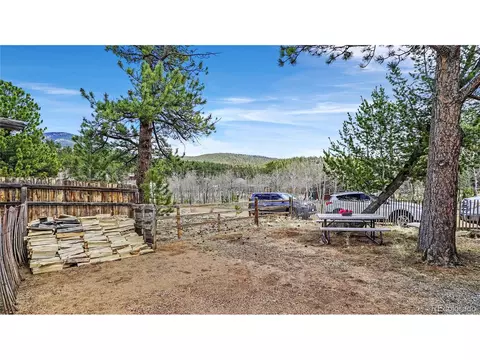 39 Cowan Rd, Bailey, CO 80421 photo 22