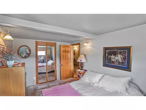 39 Cowan Rd, Bailey, CO 80421 photo 7