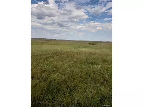 8155 Cowboy Ranch Vw, Peyton, CO 80831 photo 3