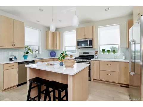 8392 E 49th Pl, Denver, CO 80238 photo 11