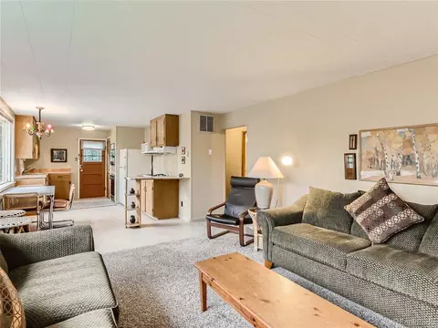 971 Mountain Meadows Dr, Black Hawk, CO 80422 photo 3